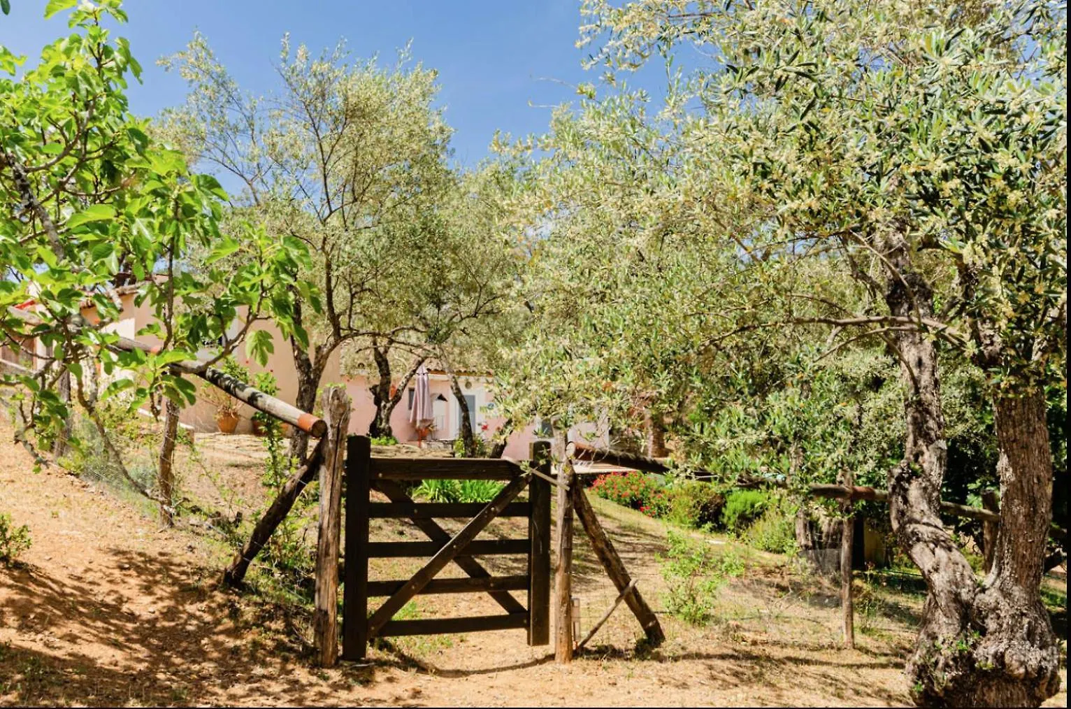 Finca El Moro - Casita Del Cerro Guest House Aracena Spain