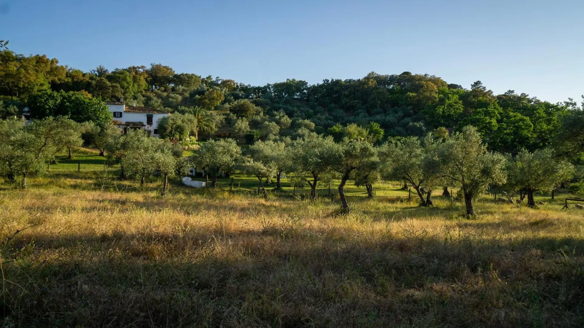Finca El Moro - Casita Del Cerro Guest House Aracena 0*,